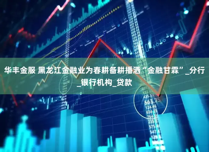 华丰金服 黑龙江金融业为春耕备耕播洒“金融甘霖”_分行_银行机构_贷款