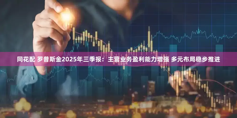 同花配 罗普斯金2025年三季报：主营业务盈利能力增强 多元布局稳步推进