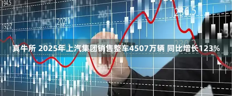 真牛所 2025年上汽集团销售整车4507万辆 同比增长123%
