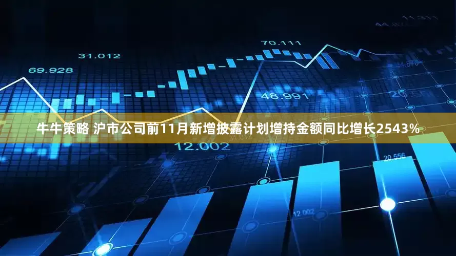 牛牛策略 沪市公司前11月新增披露计划增持金额同比增长2543%