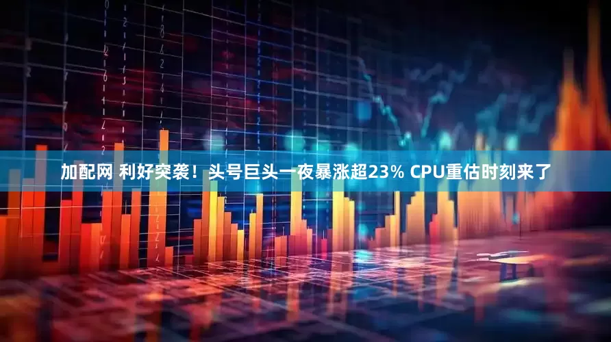 加配网 利好突袭！头号巨头一夜暴涨超23% CPU重估时刻来了